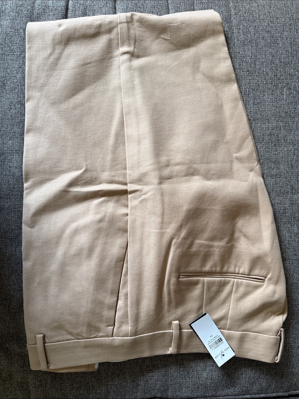 Ann Taylor Light Beige Tailored Dress Trousers